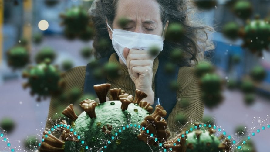 Koliko je korona u organizmu