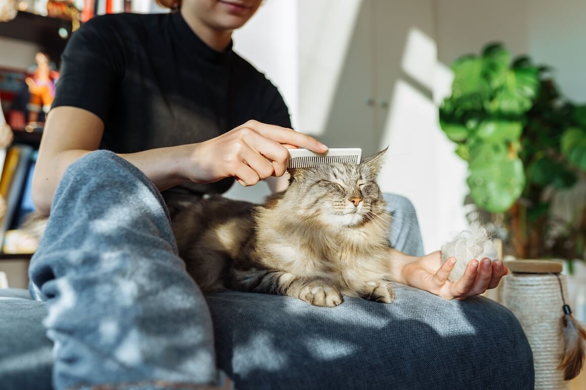 Ljubitelji mačaka cijene mir, introspektivnost i vrijeme provedeno nasamo