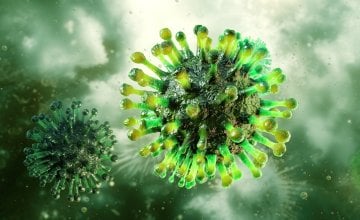 Novi soj gripe širi se svijetom