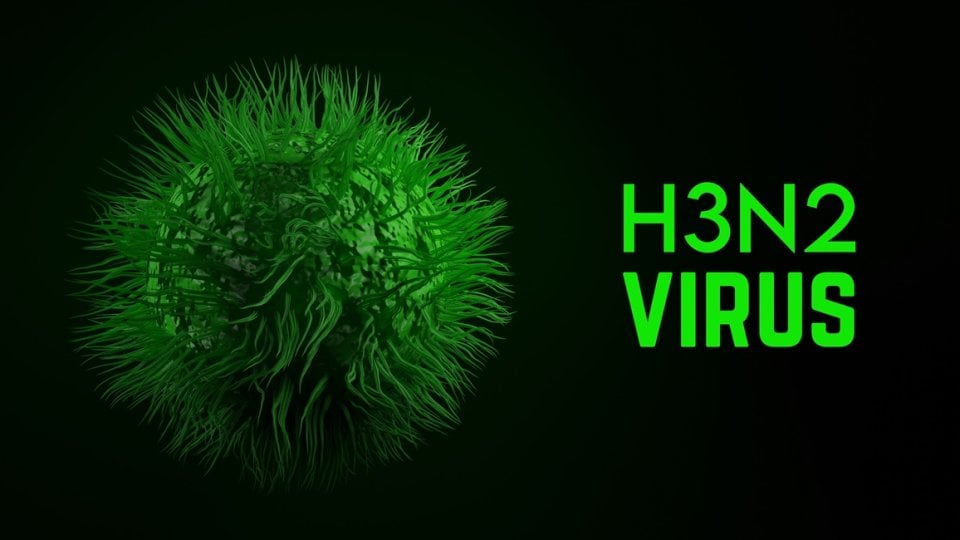 Virus gripe tipa A podtip H3N2