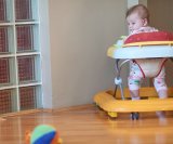 hodalice omogućuju bebama da dođu do opasnih predmeta koje roditelji inače drže izvan dosega