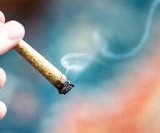 intenzivna upotreba kanabisa može povećati rizik od razvoja raka glave i vrata, uključujući rak grla, usne šupljine i žlijezda slinovnica