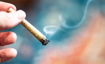 intenzivna upotreba kanabisa može povećati rizik od razvoja raka glave i vrata, uključujući rak grla, usne šupljine i žlijezda slinovnica