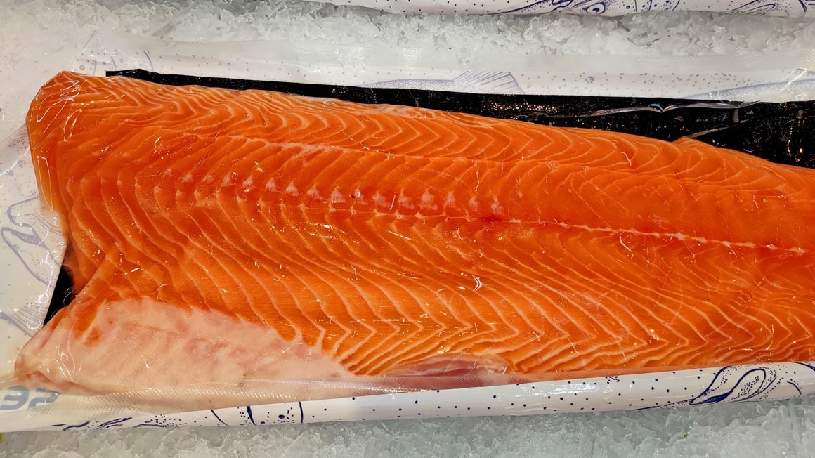 koja riba ima najviše proteina