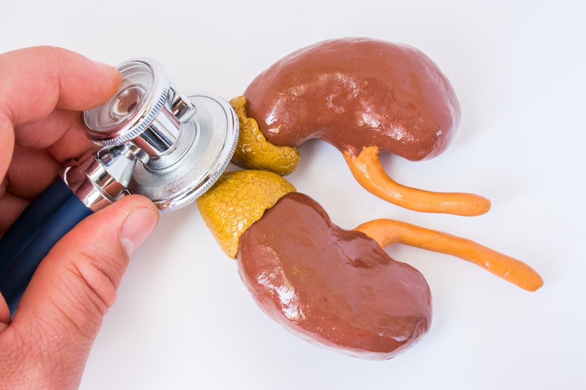 nadbubrežne žlijezde su ključni čimbenici koji osiguravaju da naše tijelo ostane u ravnoteži, prebacujući ga iz ekstremnog stresa na mirnu funkcionalnost