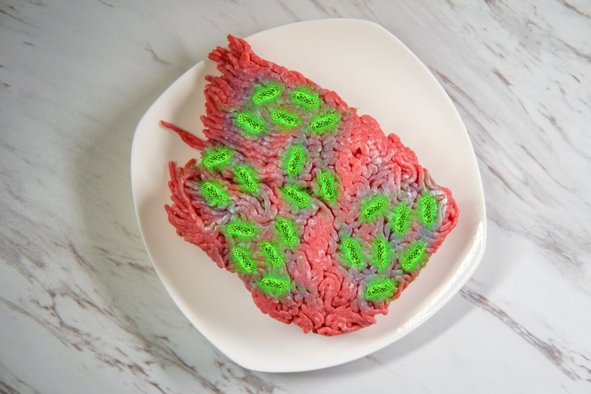 oko jedna od pet urinarnih infekcija povezana je s E. coli bakterijama životinjskog podrijetla