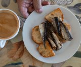 sardine su pravo bogatstvo nutrijenata za srce i mozak