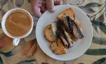 sardine su pravo bogatstvo nutrijenata za srce i mozak