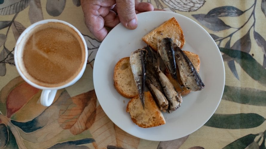 sardine su pravo bogatstvo nutrijenata za srce i mozak