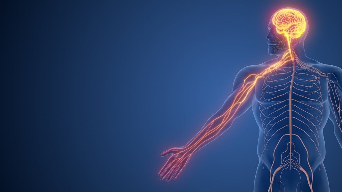 vratna kralježnica i upala živca u vratu - simptomi