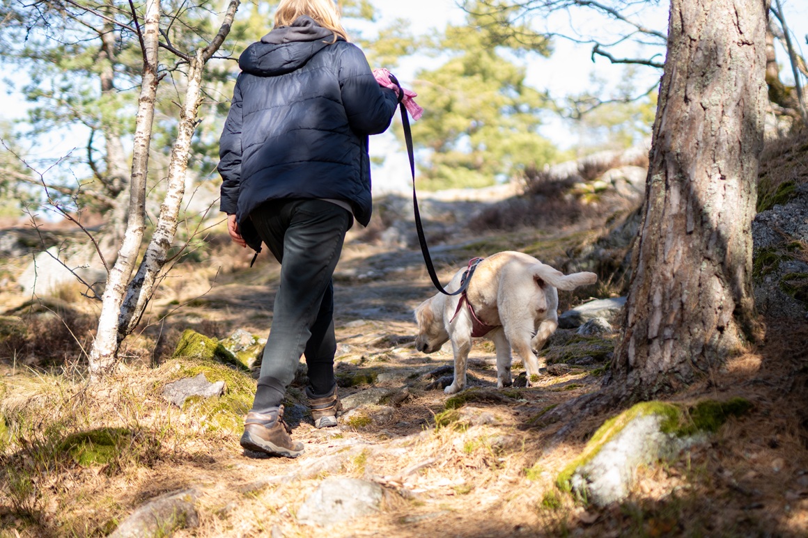 Ako vam nedostaje motivacije za svakodnevno kretanje, pas može biti odličan saveznik