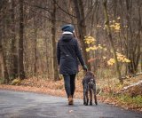 Hodanje je jedna od najjednostavnijih i najdostupnijih navika za očuvanje zdravlja