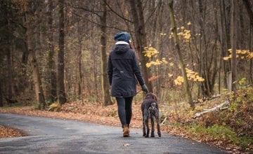 Hodanje je jedna od najjednostavnijih i najdostupnijih navika za očuvanje zdravlja