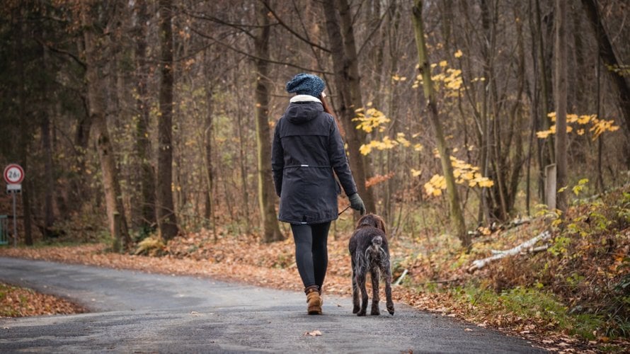 Hodanje je jedna od najjednostavnijih i najdostupnijih navika za očuvanje zdravlja