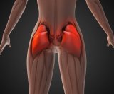 Ne ignorirajte svoj gluteus Oblik stražnjice može vas upozoriti na ozbiljne probleme!