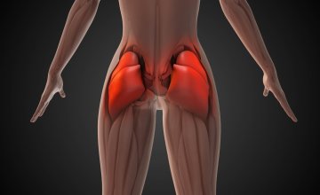 Ne ignorirajte svoj gluteus Oblik stražnjice može vas upozoriti na ozbiljne probleme!