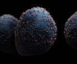 RSV je čest virus koji zahvaća nos, grlo, pluća i dišne putove