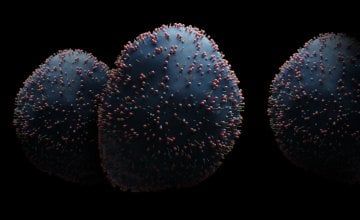 RSV je čest virus koji zahvaća nos, grlo, pluća i dišne putove