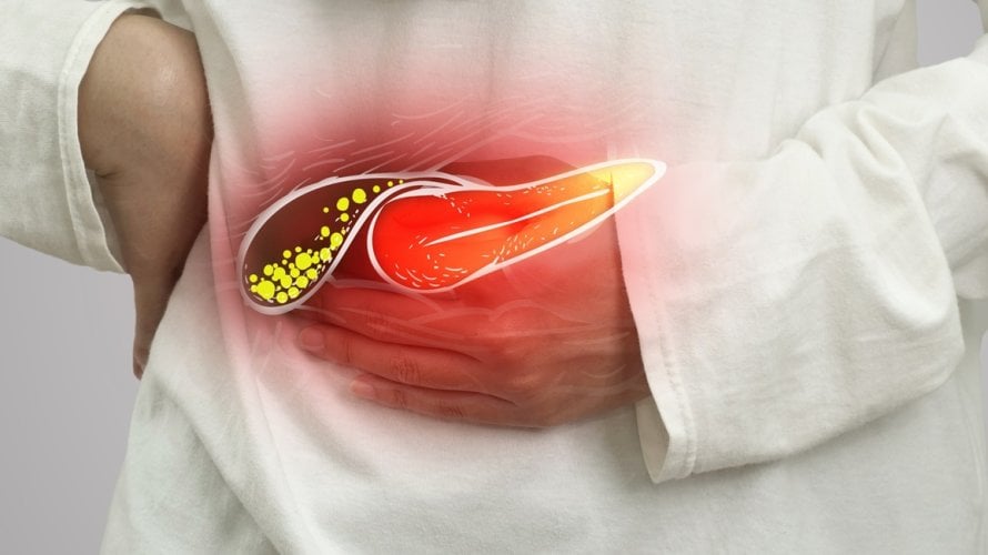 Što je dobro za žuč