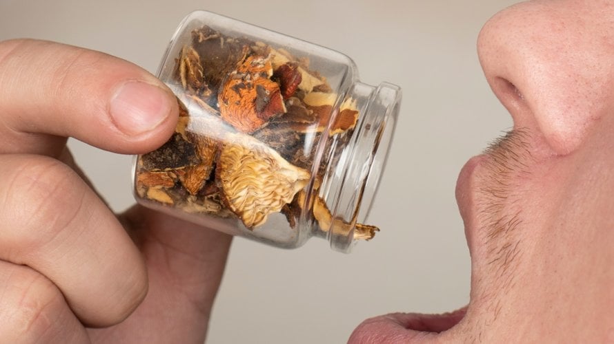 osobe koje završe u bolnici zbog uzimanja halucinogena imaju šest puta veću vjerojatnost da će tijekom sljedećih nekoliko godina dobiti dijagnozu manije