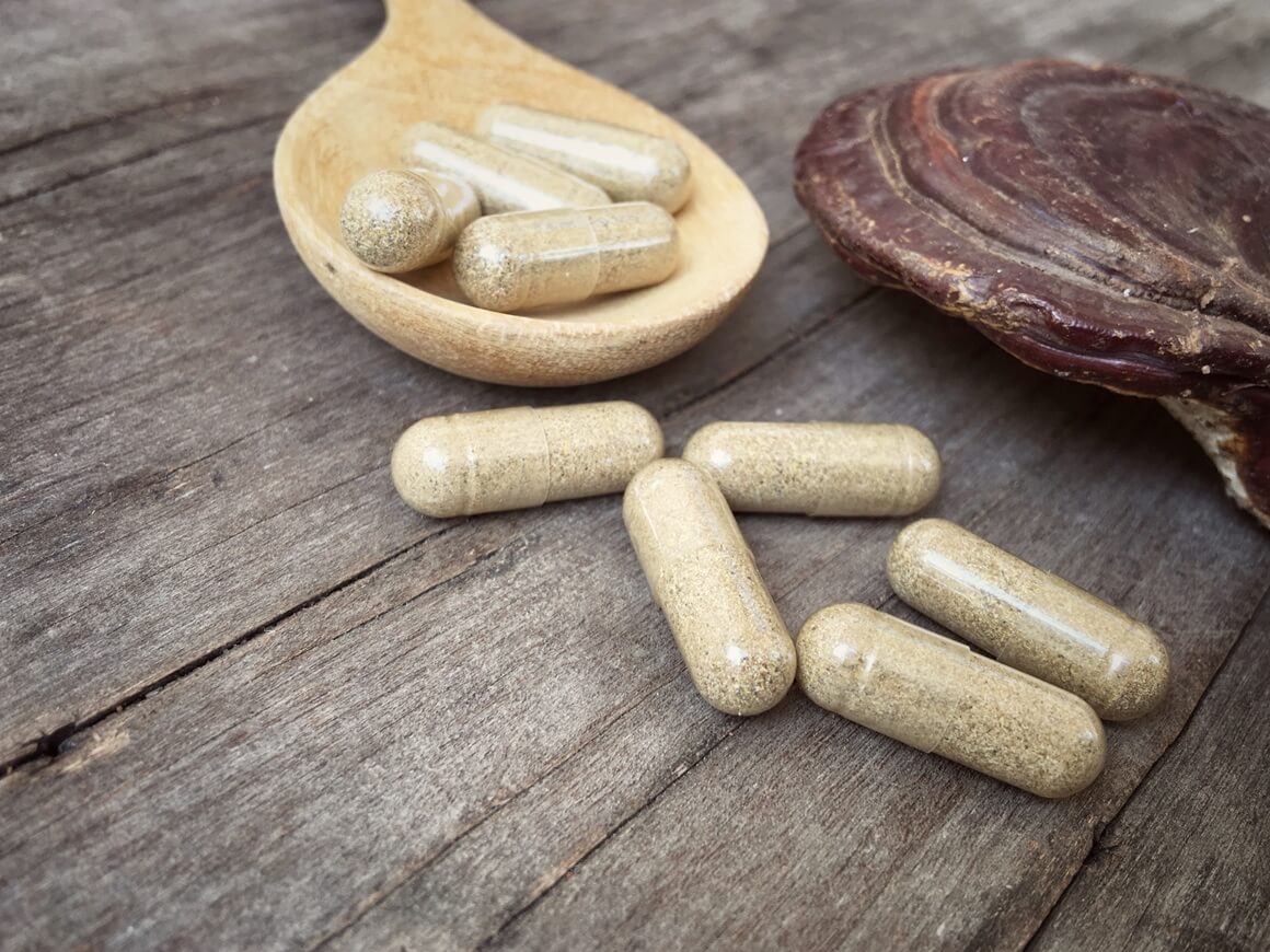 Ganoderma lucidum, poznata kao reishi ili lingzhi