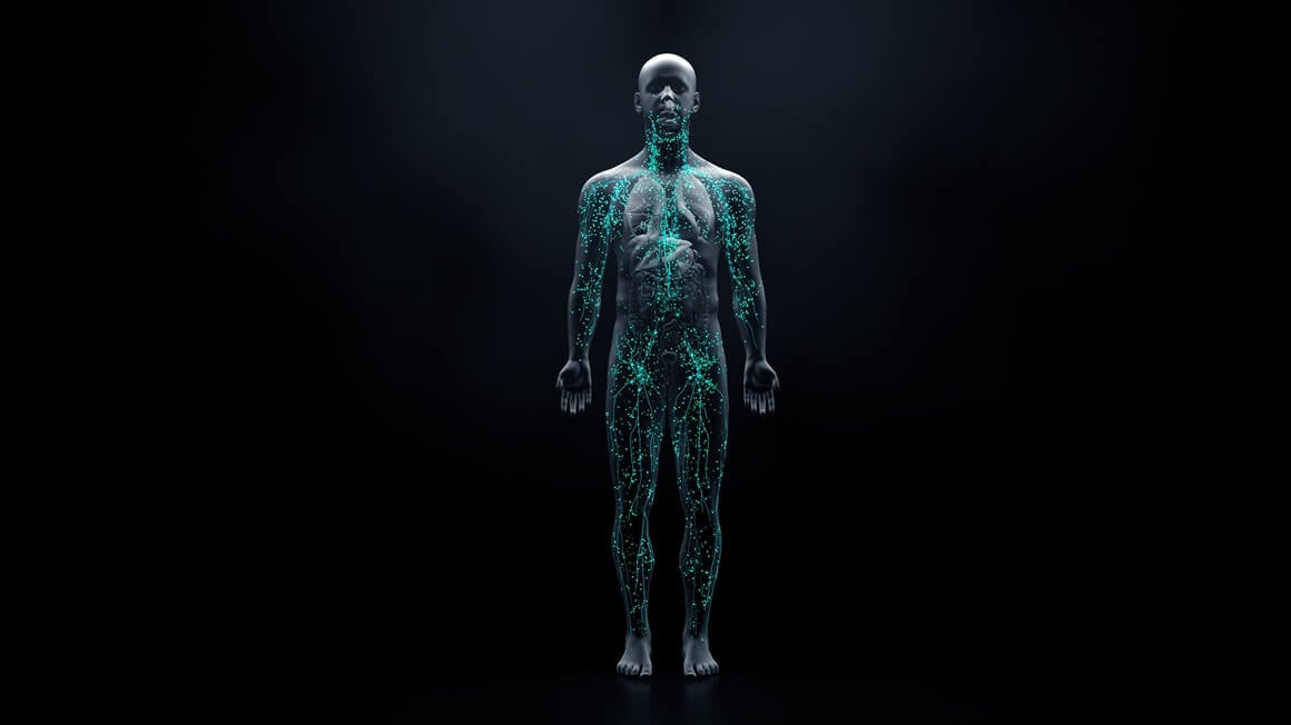 Imunološki sustav ima ključnu ulogu u zaštiti organizma od štetnih tvari, patogena i promjena unutar tijela