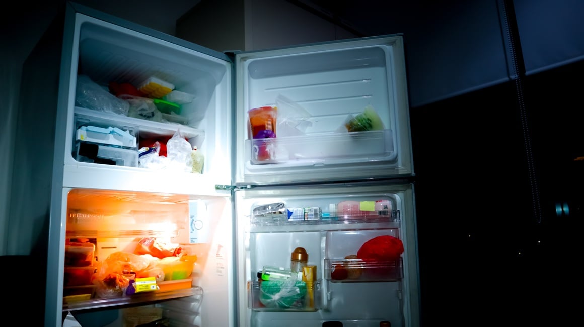 Juhe, variva, složenci i ostaci kuhanih obroka vrlo su osjetljivi na promjene temperature