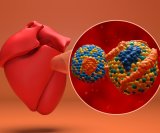 Lipoprotein (a) povišen