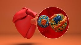 Lipoprotein (a) povišen