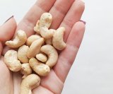 Namirnice bogate bakrom