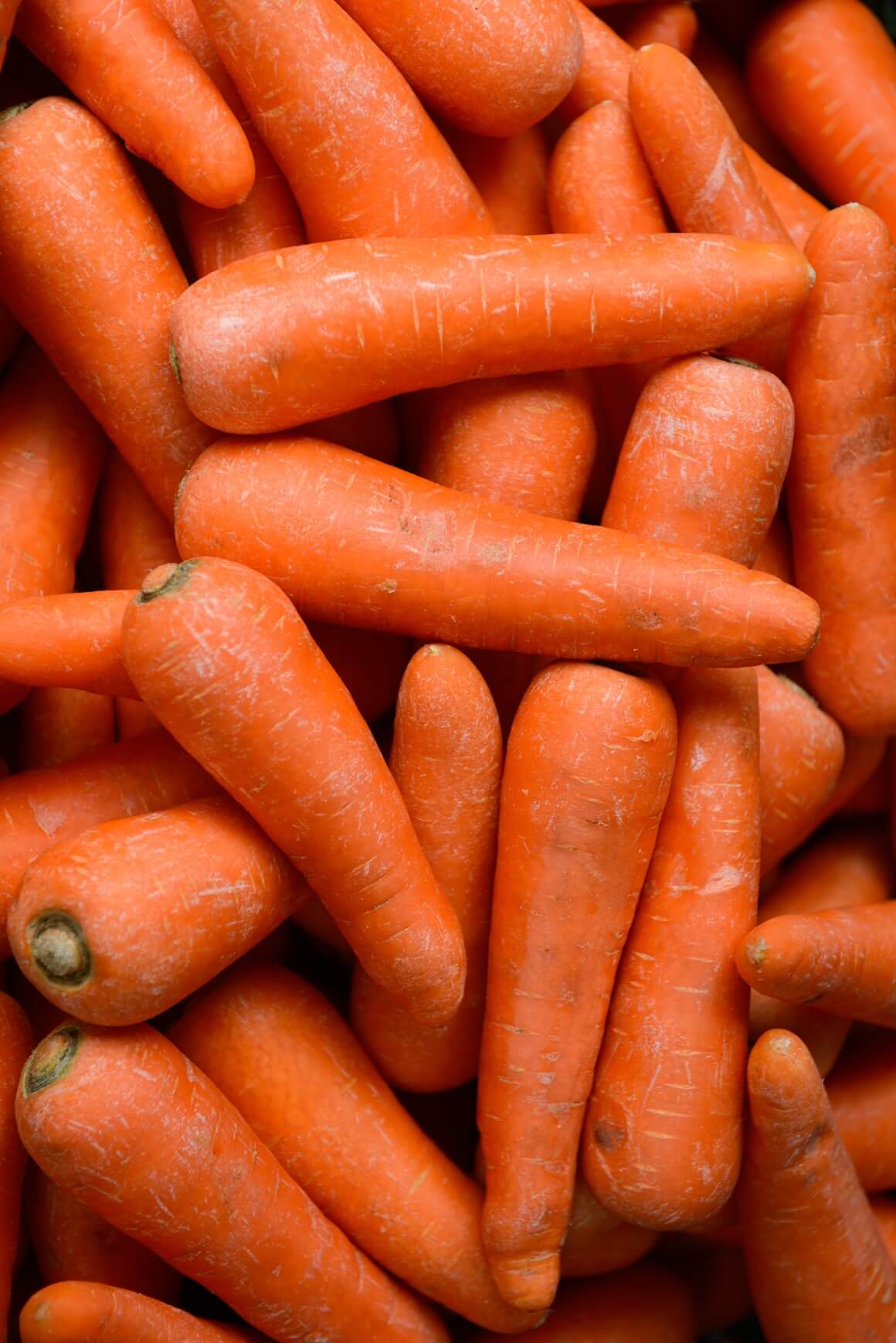 Sirova mrkva ima brojne zdravstvene prednosti