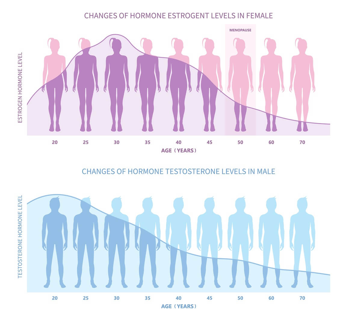 Testosteron ima brojne važne učinke na organizam