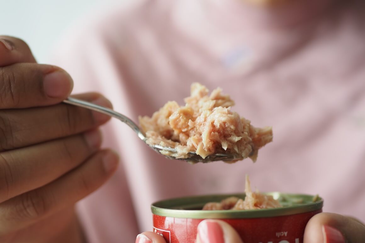 Tuna iz konzerve praktična je, povoljna i vrlo svestrana zamjena za piletinu