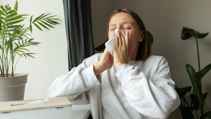 Zimske alergije