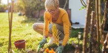 osobe koje se bave vrtlarenjem rjeđe pate od artritisa koljena i kronične boli u koljenima