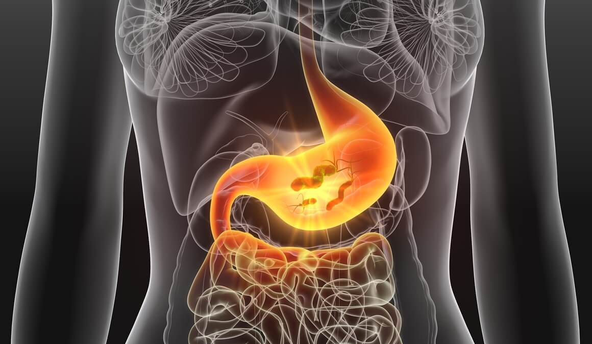 Bakterijske zarazne bolesti probavnog sustava