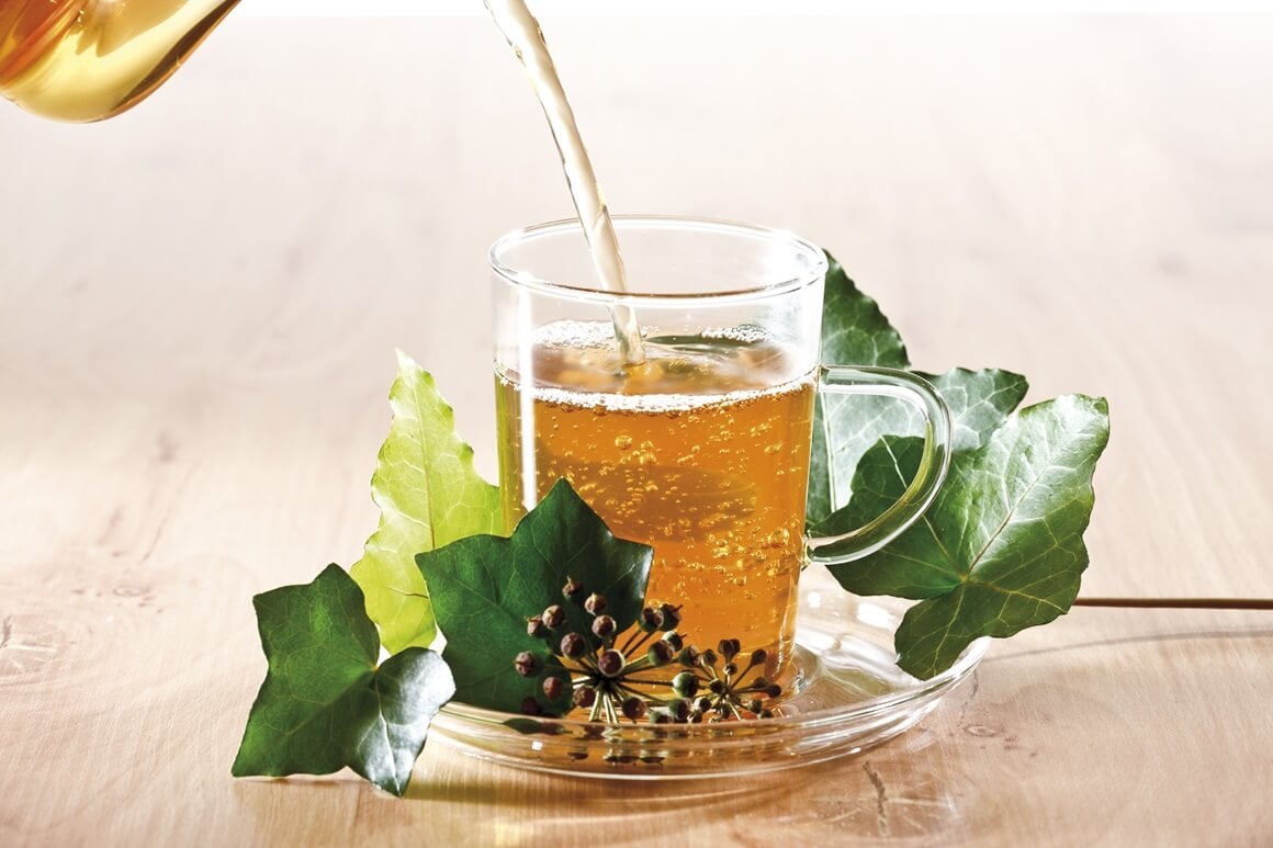 Čaj od bršljana za kašalj - recept