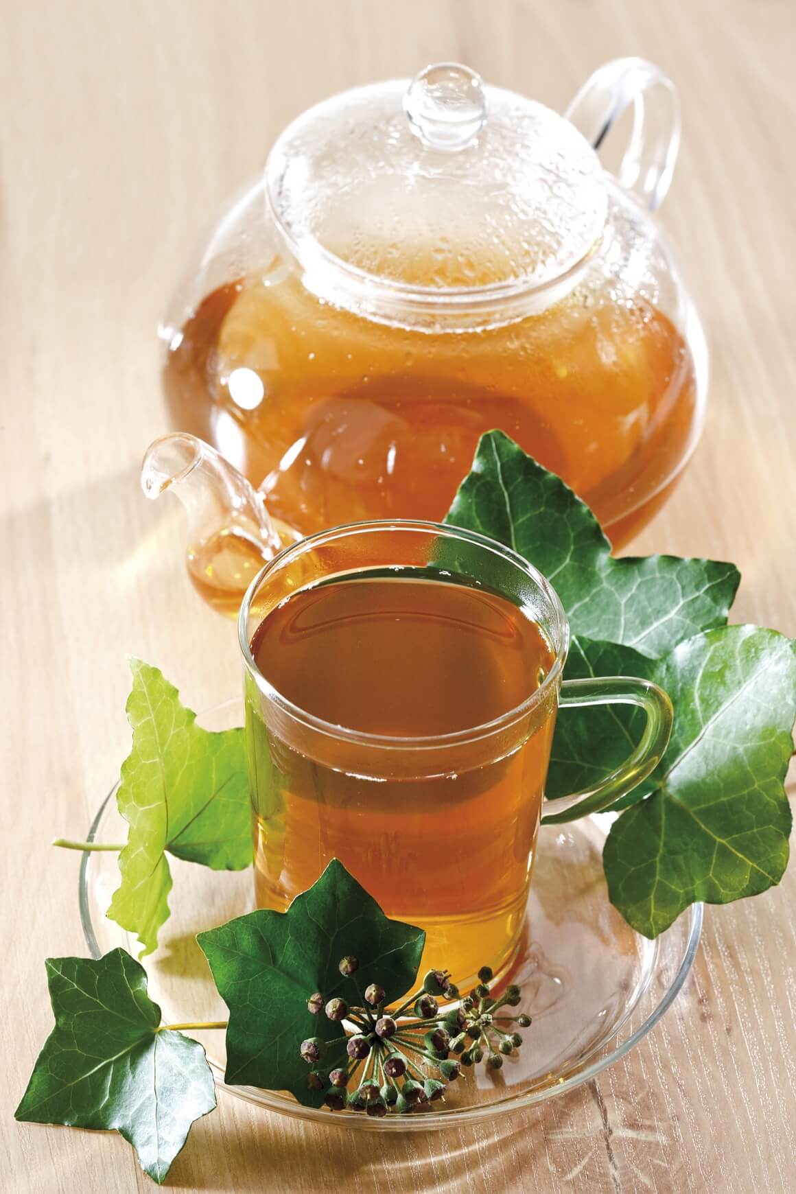 Čaj od bršljana za kašalj