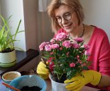 Koje cvijeće saditi u veljači