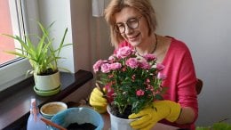 Koje cvijeće saditi u veljači