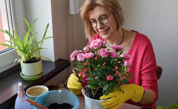 Koje cvijeće saditi u veljači