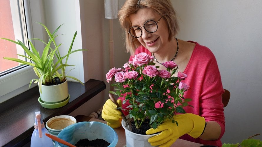 Koje cvijeće saditi u veljači