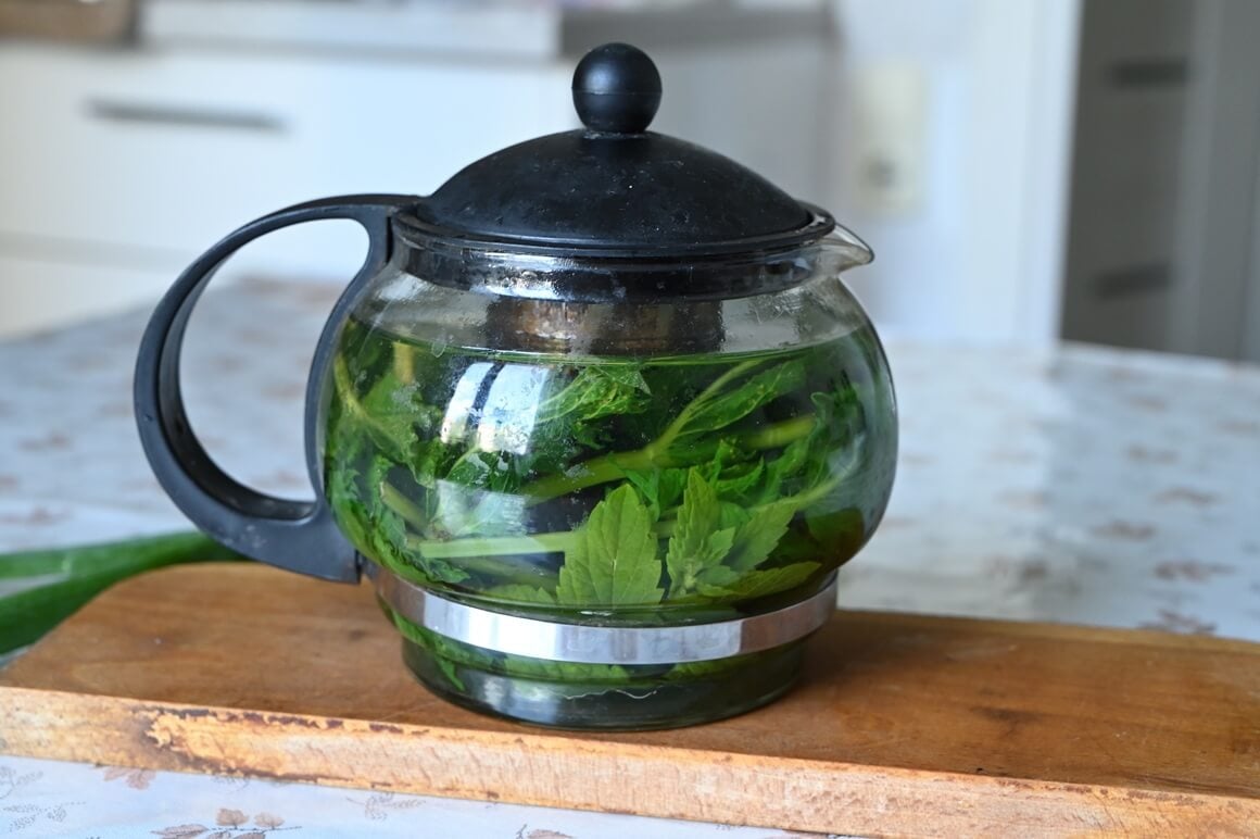 Koliko često piti čaj od mente