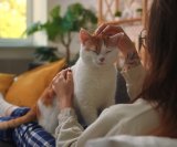 dok se mijaukanje prilagođava raspoloženju i potrebama, predenje ostaje gotovo nepromijenjeno i upravo bi ono moglo biti svojevrsni glasovni otisak svake mačke