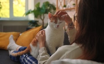 dok se mijaukanje prilagođava raspoloženju i potrebama, predenje ostaje gotovo nepromijenjeno i upravo bi ono moglo biti svojevrsni glasovni otisak svake mačke