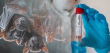 vijesti o ponovnoj pojavi Nipah virusa u Indiji izazvale su zabrinutost zdravstvenih stručnjaka
