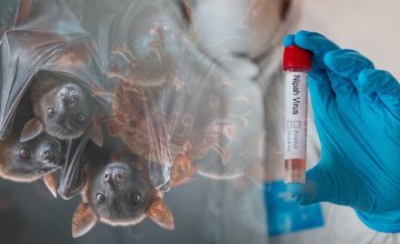 vijesti o ponovnoj pojavi Nipah virusa u Indiji izazvale su zabrinutost zdravstvenih stručnjaka