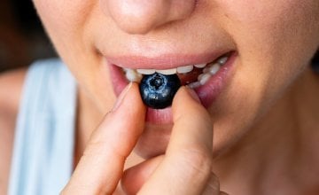 Borovnice, maline, jagode i brusnice bogate su polifenolima - spojevima koji mogu pomoći u zaštiti od raka