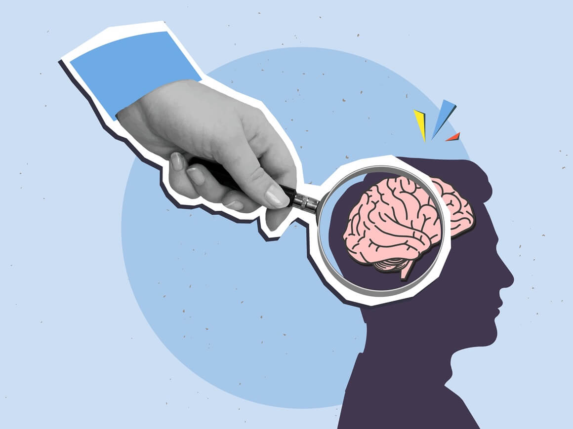 Dijelovi mozga i funkcije