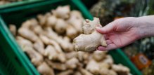 Đumbir pomaže tijelu da izbaci nakupljenu vlagu i težinu koju ožujske kiše često donose
